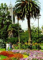 Der Albert Park in Auckland