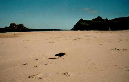 Strand von Opotere