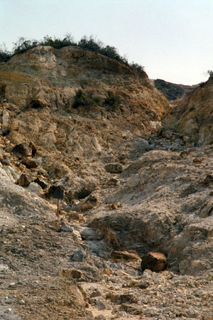 c026_26a
